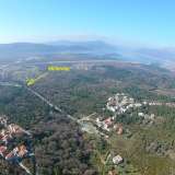  For sale a plot of 7270 m2 in the settlement of Kavač, Kotor. Kavač 7980468 thumb0