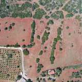  For Sale - (€ 0 / m2), Agricultural 9030 m2 Ermioni 8180523 thumb2