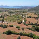  For Sale - (€ 0 / m2), Agricultural 9030 m2 Ermioni 8180523 thumb5