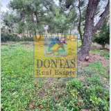  (For Sale) Land Plot || East Attica/Dionysos - 815 Sq.m, 255.000€ Dionysos 8080658 thumb0