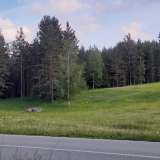 Plot of 10,354m2 next to the Zabljak-Pljevlja highway (7km from the center of Zabljak) zabljak 7980783 thumb0