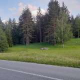  Plot of 10,354m2 next to the Zabljak-Pljevlja highway (7km from the center of Zabljak) zabljak 7980783 thumb2