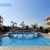  Luxury Apartment in Paphos - Diana Gardens Kato Paphos 4280840 thumb15