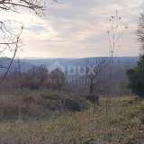  ISTRIA, BARBAN - Land with valid building permit and paid utilities, beautiful view Barban 8180865 thumb17