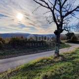  ISTRIA, BARBAN - Land with valid building permit and paid utilities, beautiful view Barban 8180865 thumb9