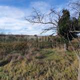  ISTRIA, BARBAN - Land with valid building permits and paid utilities, beautiful view Barban 8180866 thumb21