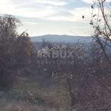  ISTRIA, BARBAN - Land with valid building permits for the construction of 4 houses with swimming pools, utilities paid Barban 8180873 thumb5
