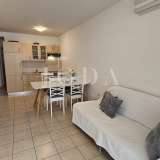  TWO-ROOM APARTMENT ON THE GROUND FLOOR Crikvenica 8180909 thumb3