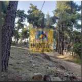 (For Sale) Land Plot || East Attica/Stamata - 1.020 Sq.m, 260.000€ Athens 8181139 thumb1