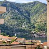  New one bedroom apartment 60m2 in a new residential complex in Dobrota, Kotor Dobrota 7981196 thumb3