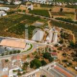   Tavira (Phía đông Algarve) 7281395 thumb9