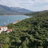  Plot 1612m2 with sea view, only 50m from the coast in Đuraševići, Tivat Djurasevici 7981433 thumb3