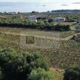  Large plot with unobstructed view (OPPORTUNITY) Stanković 8181469 thumb6