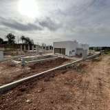   Alcantarilha (Centraal Algarve) 8081604 thumb6