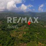  For Sale - (€ 0 / m2), Agricultural 6278 m2 Zagora 7781867 thumb3
