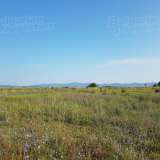  Regulated plot of land 100 m from the asphalt road to Kostenets near Borovets Kostenets village 5181905 thumb5