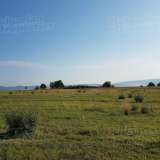  Regulated plot of land 100 m from the asphalt road to Kostenets near Borovets Kostenets village 5181905 thumb8