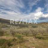  For Sale - (€ 0 / m2), Agricultural 15511 m2 Aisonia 7781922 thumb8