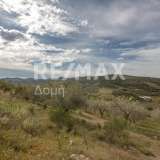  For Sale - (€ 0 / m2), Agricultural 15511 m2 Aisonia 7781922 thumb1