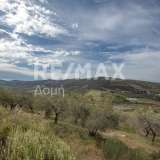  For Sale - (€ 0 / m2), Agricultural 15511 m2 Aisonia 7781922 thumb4