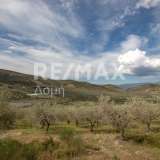  For Sale - (€ 0 / m2), Agricultural 15511 m2 Aisonia 7781922 thumb5