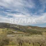  For Sale - (€ 0 / m2), Agricultural 15511 m2 Aisonia 7781922 thumb7