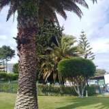   Porches (Central Algarve) 8181998 thumb20