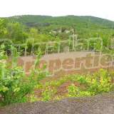  A property surrounded by beautiful nature with pine forests Sredno Gradishte village 7782010 thumb4