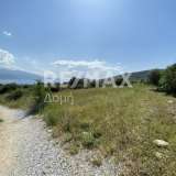  For Sale - (€ 0 / m2), Agricultural 4050 m2 Volos 7782011 thumb8