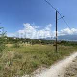  For Sale - (€ 0 / m2), Agricultural 4050 m2 Volos 7782011 thumb2