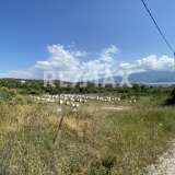  For Sale - (€ 0 / m2), Agricultural 4050 m2 Volos 7782011 thumb4