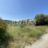  For Sale - (€ 0 / m2), Agricultural 4050 m2 Volos 7782011 thumb6