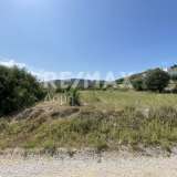  For Sale - (€ 0 / m2), Agricultural 4050 m2 Volos 7782011 thumb7