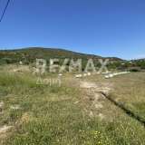  For Sale - (€ 0 / m2), Agricultural 4050 m2 Volos 7782011 thumb5