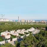  Maisons de 3 Chambres Avec Jardins et Piscines à Finestrat Alicante 8082137 thumb1
