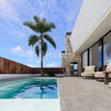  Zeitgenössische freistehende Villen mit privatem Pool in San Pedro Murcia 8082141 thumb2