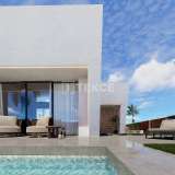  Zeitgenössische freistehende Villen mit privatem Pool in San Pedro Murcia 8082141 thumb1