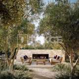  Villa mit ausgedehntem Ackerland in Yecla Murcia Murcia 8082173 thumb6