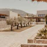 别墅位于耶克拉穆尔西亚 (Yecla Murcia)，提供广阔的耕地 穆尔西亚 8082173 thumb1