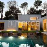  Villa mit ausgedehntem Ackerland in Yecla Murcia Murcia 8082173 thumb0