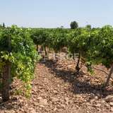  Chalet con Amplio Terreno Cultivable en Yecla Murcia Murcia 8082173 thumb14