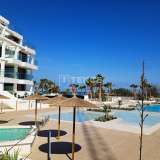 Ready to Move Apartments in Front of the Beach in Denia Alicante 8082176 thumb0