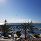  Freistehende Villa 400 m vom Strand entfernt in Torre de la Horadada Alicante 8082186 thumb14
