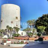  Maisons de Ville avec Grande Piscine Commune à Orihuela Alicante Alicante 8082187 thumb24