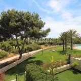  Apartments mit Blick auf den Golfplatz in Pilar de la Horadada Alicante 8082202 thumb3