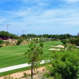 Apartments mit Blick auf den Golfplatz in Pilar de la Horadada Alicante 8082202 thumb16