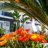  Doppelhaushälften mit privatem Pool in Gran Alacant Alicante 8082255 thumb6
