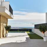  Luxurious Detached Villas with Pools in San Miguel de Salinas Alicante 8082265 thumb20