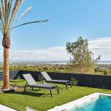  Luxurious Detached Villas with Pools in San Miguel de Salinas Alicante 8082265 thumb4