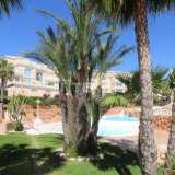 Impresionante Vista al Mar Elegante Apartamento en Guardamar España Alicante 8082390 thumb6